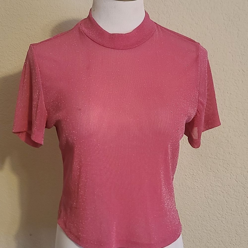 Mesh Sparkly Crop Top